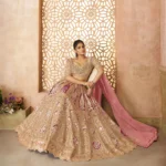 Champagne/Chiku Color Aari Embroidered Banarasi Lehenga for Brides - Image 2