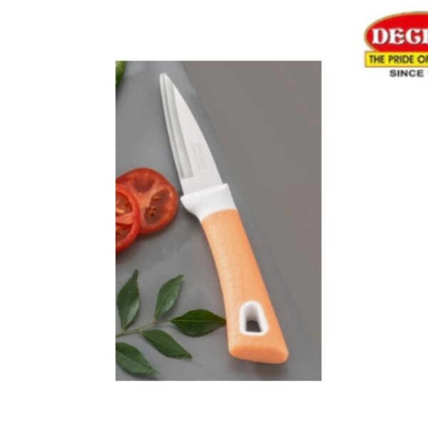 DT - 60 Pairing Knife (190mm)