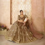 Timeless Elegance Trending Lehenga Collection - Image 5
